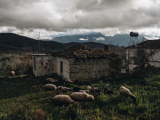Kutë didn't have working streetlights for decades. Now solar panels provide energy to light the village's streets at night | Photo: Ilir Tsouko